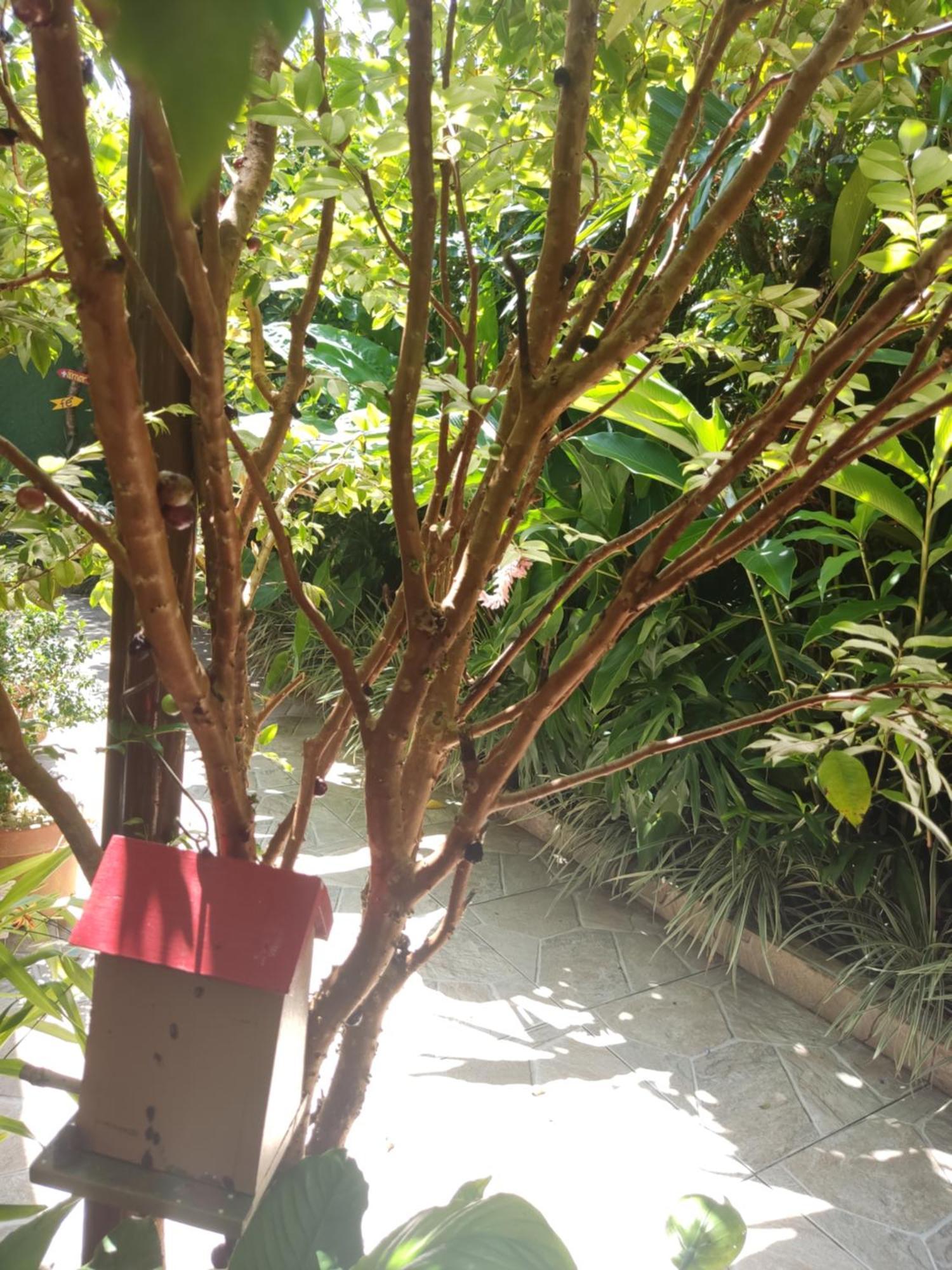 Recanto Toca Das Plantas De Ilhabela I Номер фото